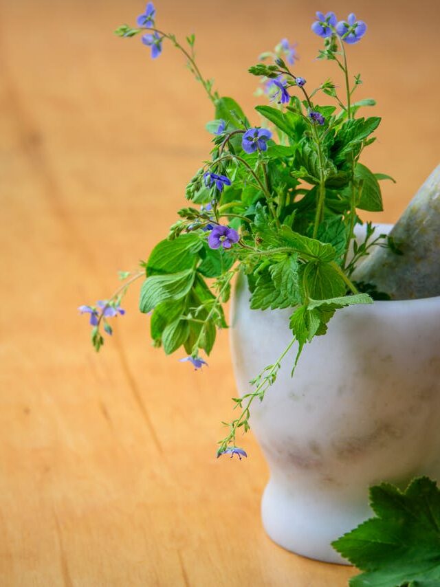 Marble mortar and pestle with fresh herbs and flowers on wooden table enhancing natural health and cooking aesthetics.
